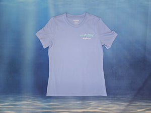 Ladies Relaxed Blue Fade Icon Tee