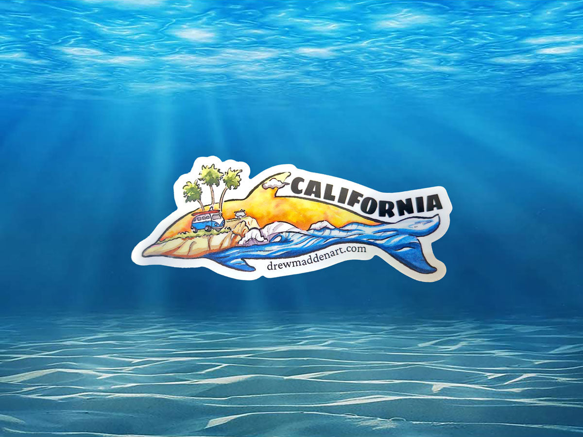 California Dolphin