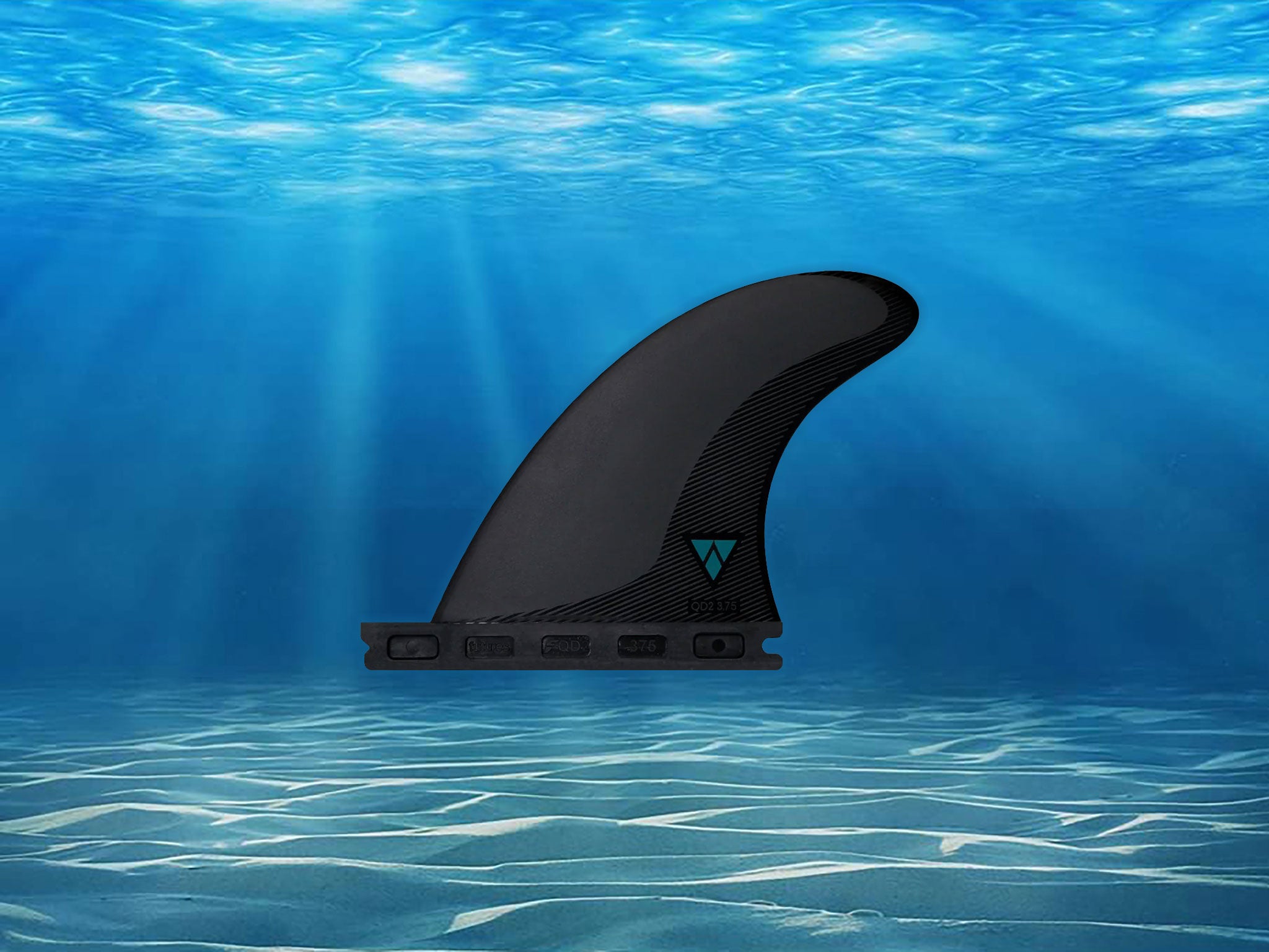 Futures FCD Alpha Quadフィン Amazon.com: Futures Controller Alpha Quad Fin Large Carbon