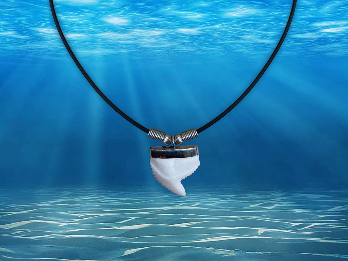 Resin Shark Tooth Necklace