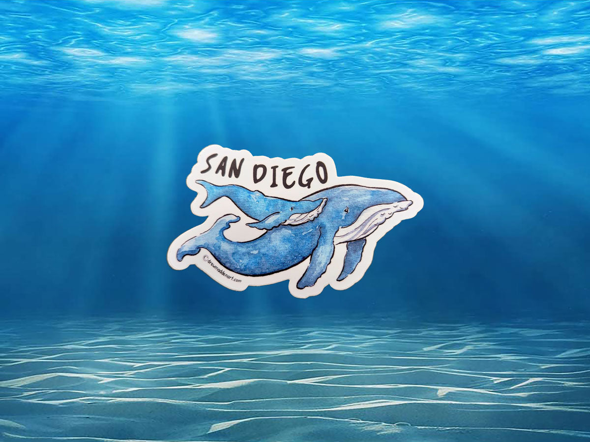 San Diego Whales Sticker