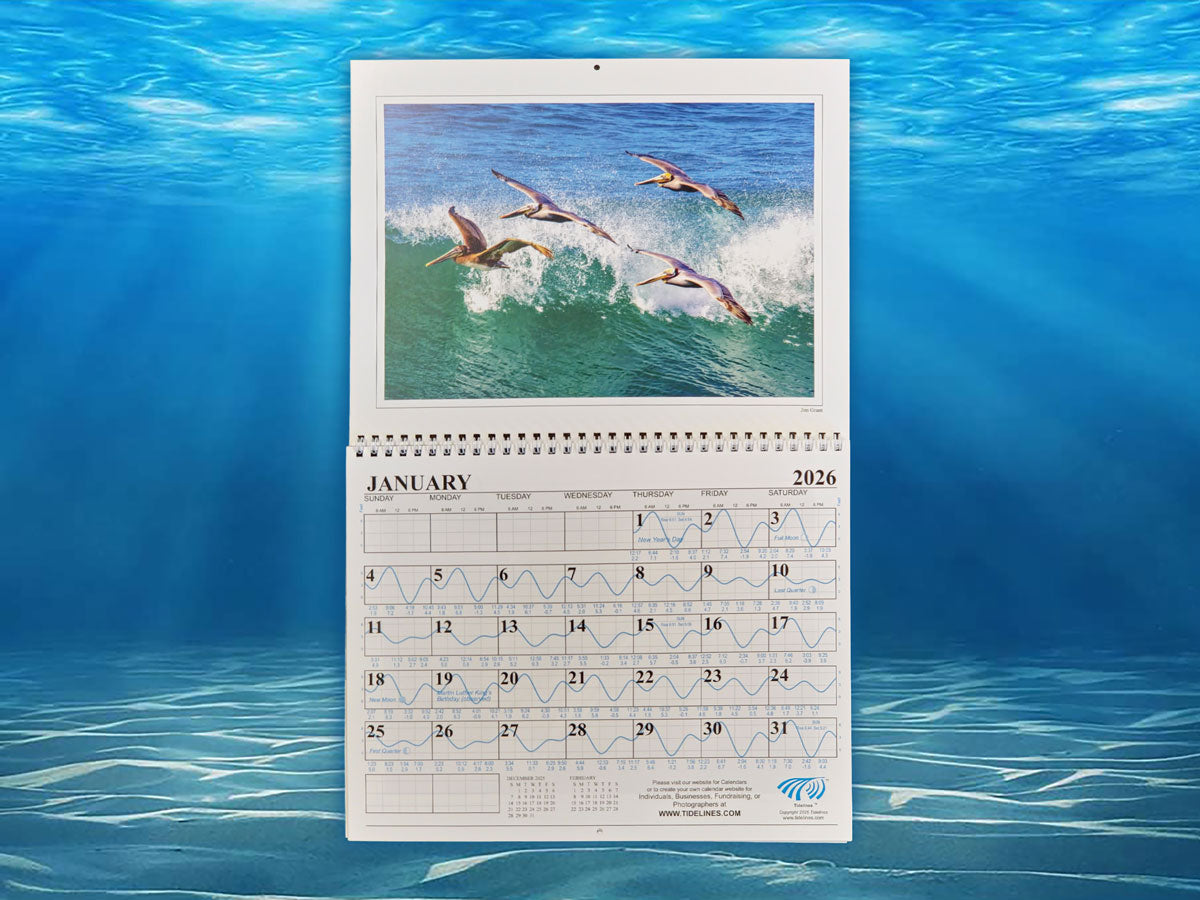 San Diego 2026 Tide Calendar