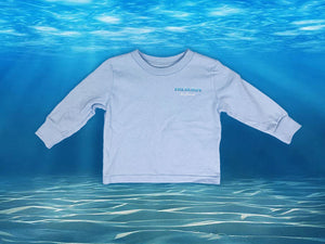 Long Sleeve Toddler Tee