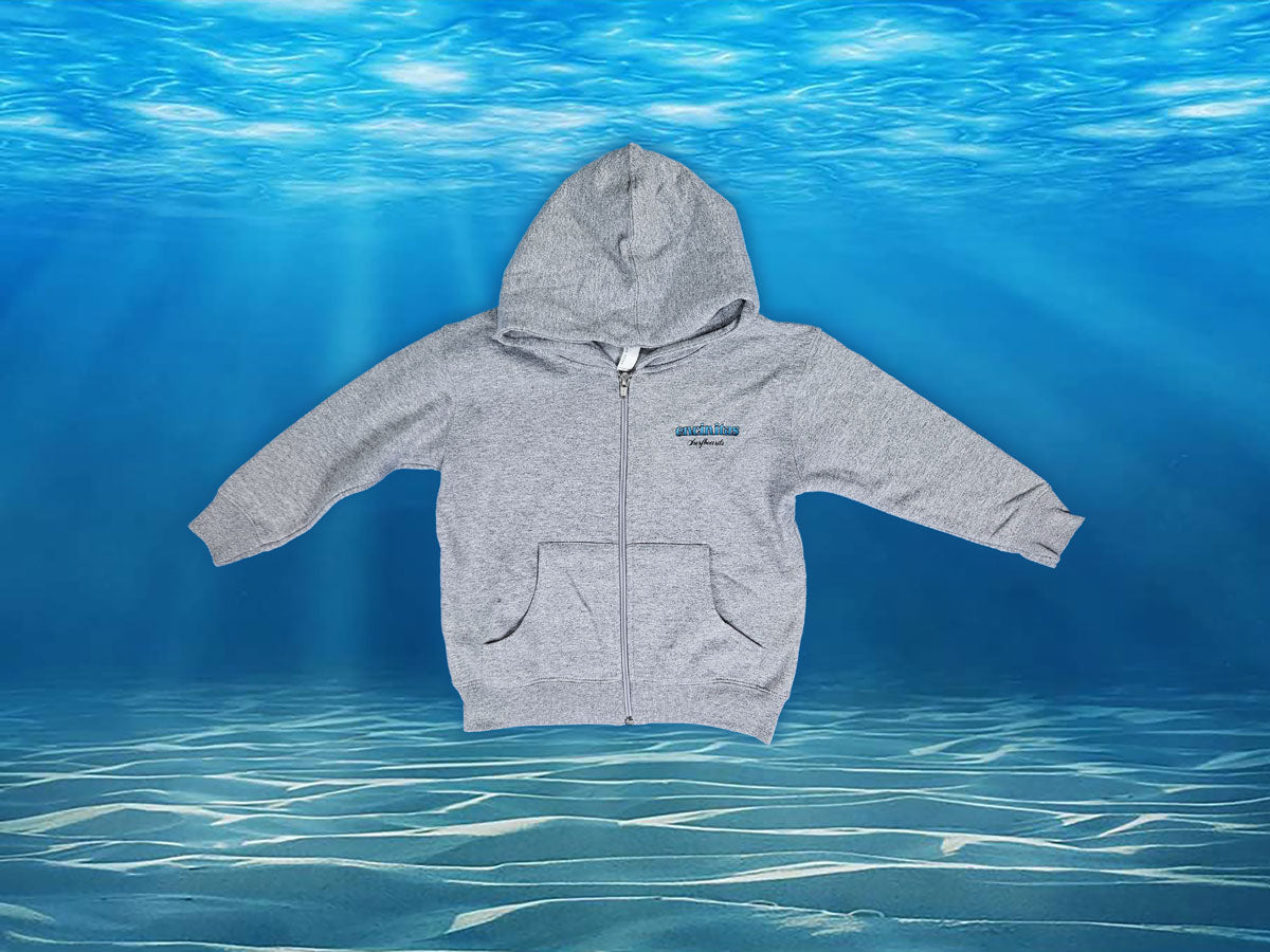 Toddler Zip Hoody
