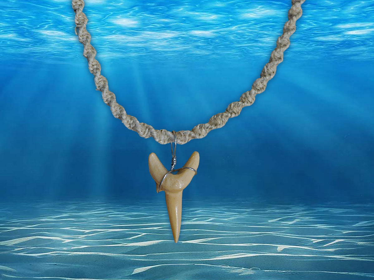 Twisted Hemp Fossil Shark Tooth Necklace